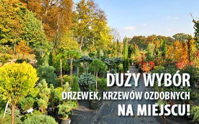 ZAPRASZAMY!!!