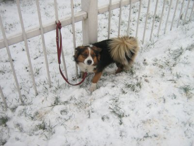 Puszek