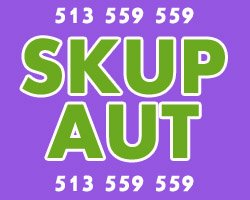 Auto Skup Bytom / Skup Samochodów w Bytomiu / Najwyższe ceny / Osobowe Ciężarowe Dostawcze