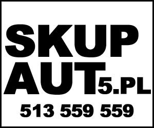 Skup aut samochodów dostawczych Fiat Ducato Fiorino Doblo